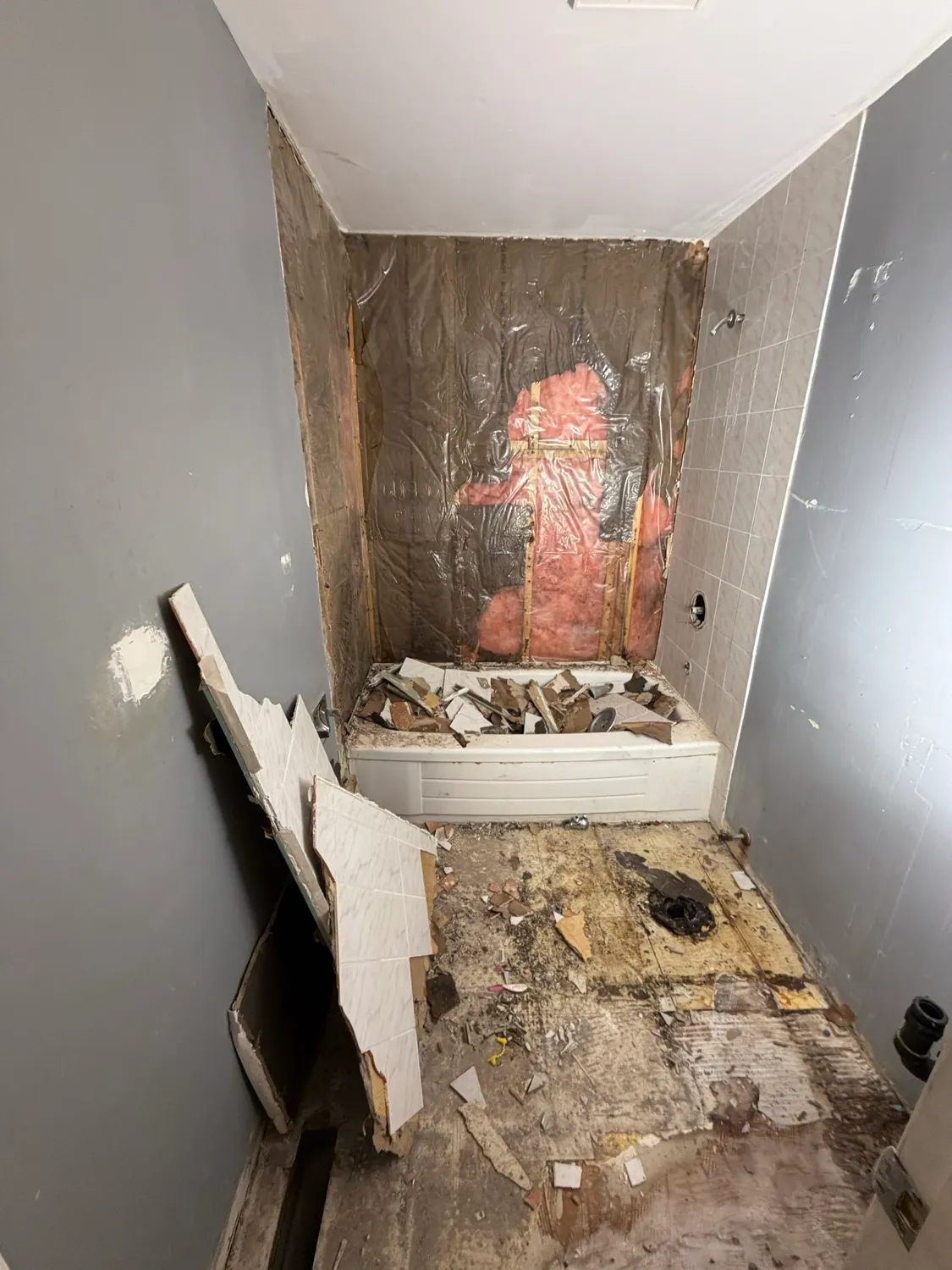 Bathroom Transformation — bathroom project by InGod, photo 2 of 6