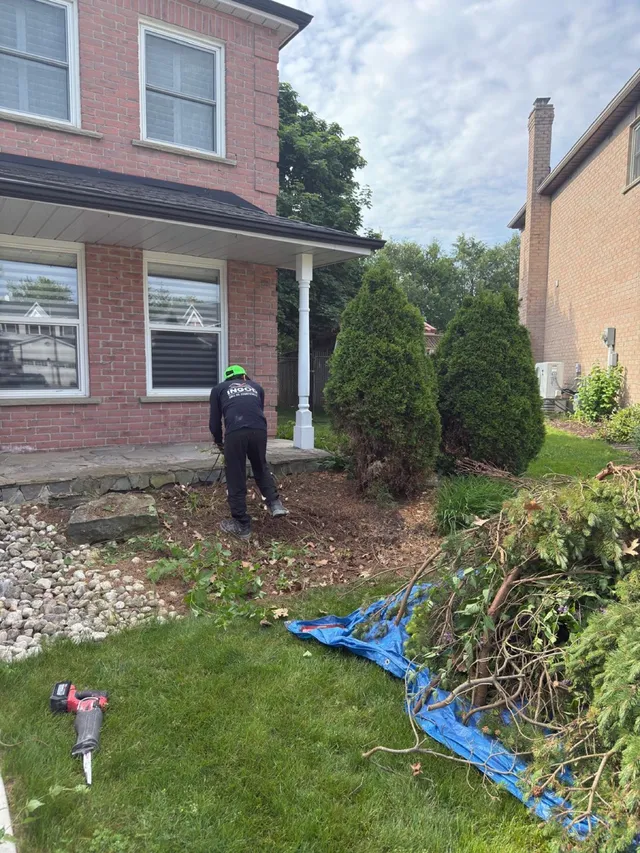 Garden Bed Landscaping — outdoor project by InGod in Kitchener–Waterloo