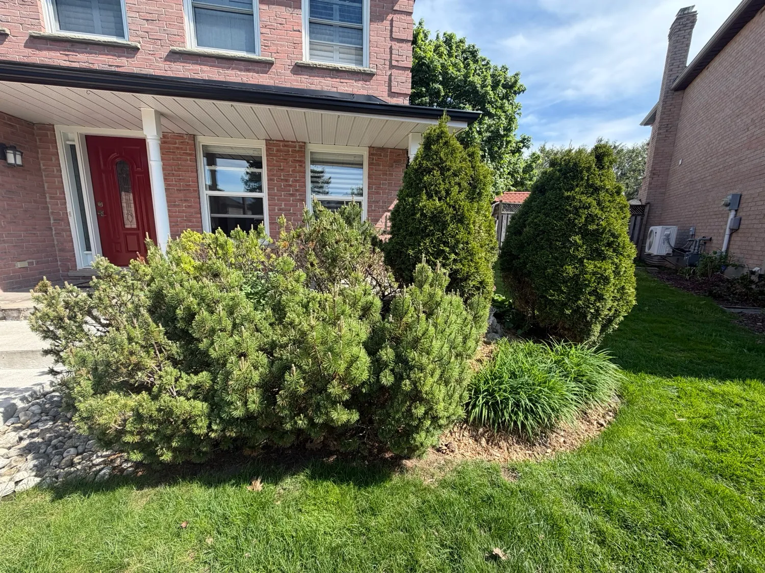 Garden Bed Landscaping — outdoor project by InGod, photo 2 of 4